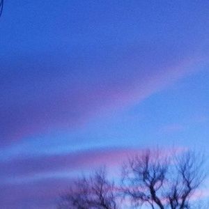 Meet your Posher, Phil